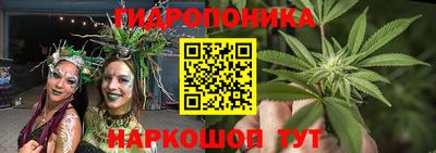 spice Заводоуковск