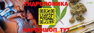 прущие грибы Жуковский