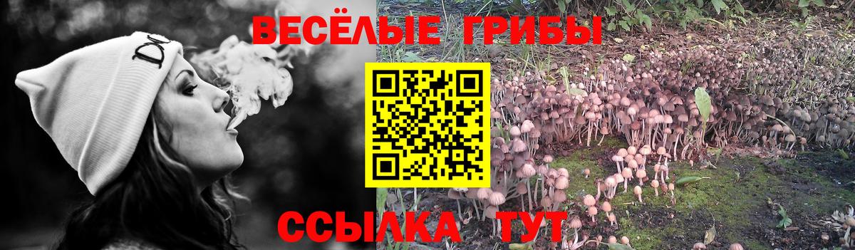 Галлюциногенные грибы Magic Shrooms  Псилоцибиновые грибы Psilocybine cubensis  Мелеуз  Вход с VPN 
